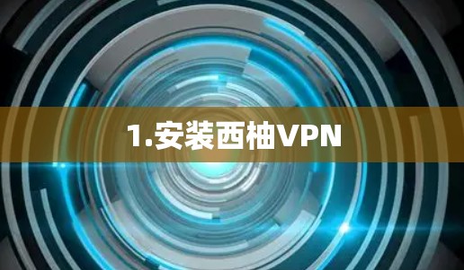 1.安装西柚VPN