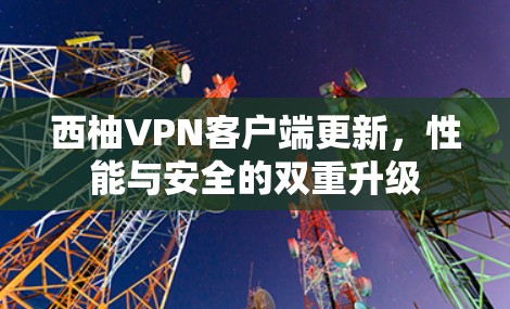 西柚VPN客户端更新，性能与安全的双重升级