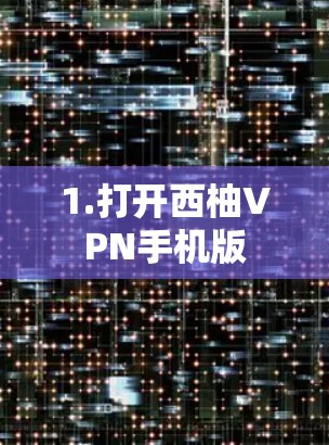 1.打开西柚VPN手机版