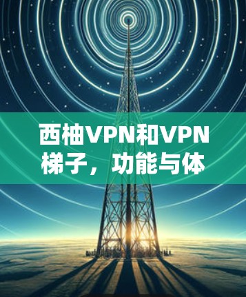 西柚VPN和VPN梯子，功能与体验对比