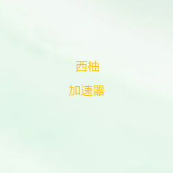 西柚VPN-极速VPN · 隐私加速器 · 跨国无障碍 | 更快更安全-西柚翻墙软件