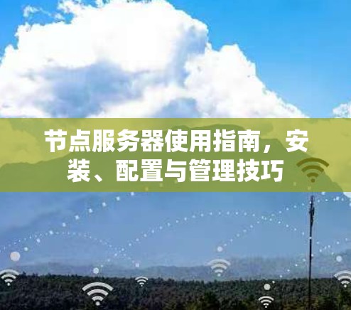 节点服务器使用指南，安装、配置与管理技巧