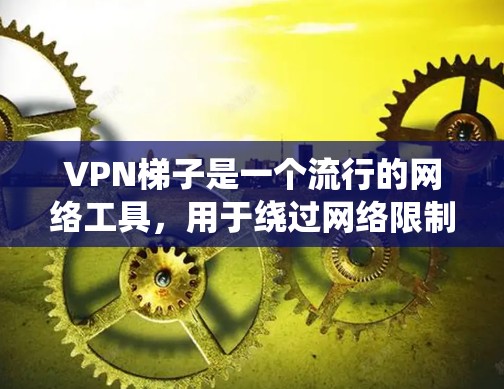 VPN梯子是一个流行的网络工具，用于绕过网络限制和加密网络流量。虽然它本身是一个开源项目，但它的官方客户端可能没有更新，更多的功能和配置可能需要通过第三方客户端或命令行工具来实现
