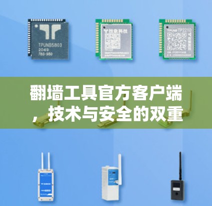 翻墙工具官方客户端，技术与安全的双重保障