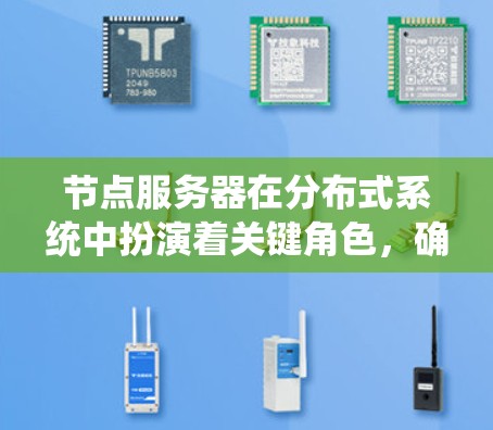 节点服务器在分布式系统中扮演着关键角色，确保其性能检测和优化至关重要。以下是对节点服务器性能检测的详细步骤和建议