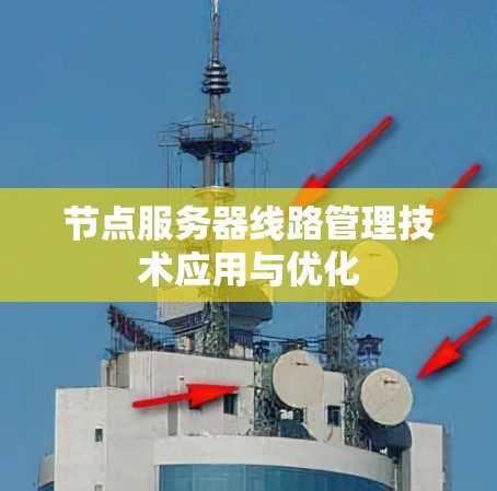 节点服务器线路管理技术应用与优化
