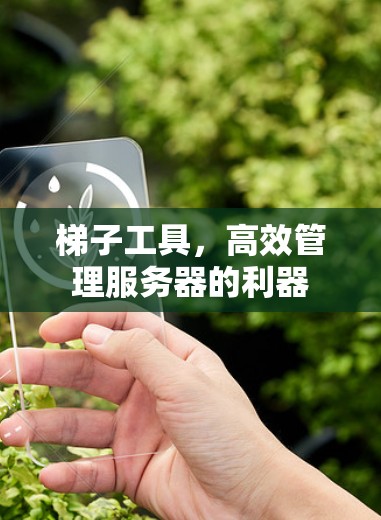 梯子工具，高效管理服务器的利器