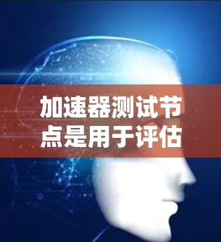 加速器测试节点是用于评估和测试加速器性能的关键设施，主要用于模拟高负载环境，帮助开发者验证加速器在不同条件下的表现。以下是对加速器测试节点的详细解释