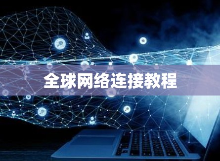 全球网络连接教程