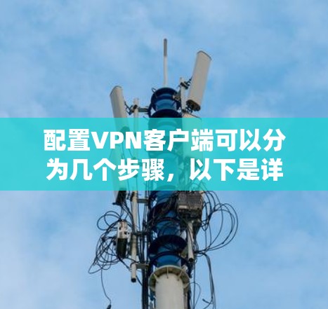 配置VPN客户端可以分为几个步骤，以下是详细的指南