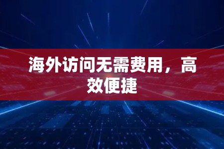 海外访问无需费用，高效便捷