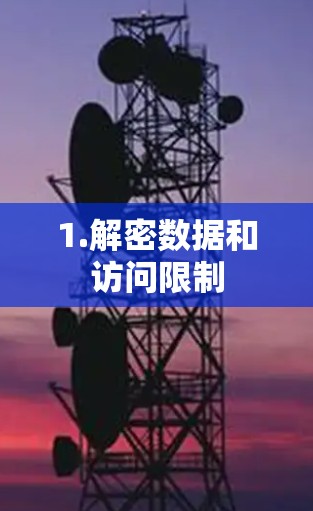 1.解密数据和访问限制