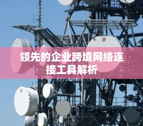 领先的企业跨境网络连接工具解析