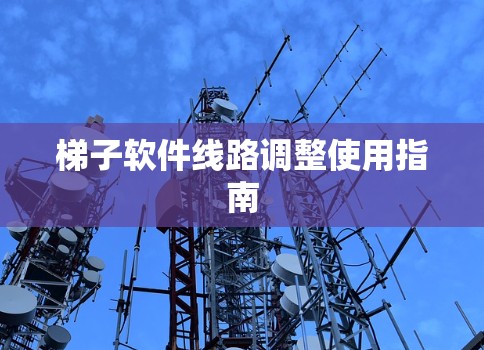 梯子软件线路调整使用指南