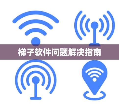 梯子软件问题解决指南