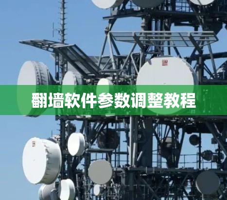 翻墙软件参数调整教程