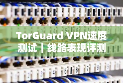 TorGuard VPN速度测试｜线路表现评测