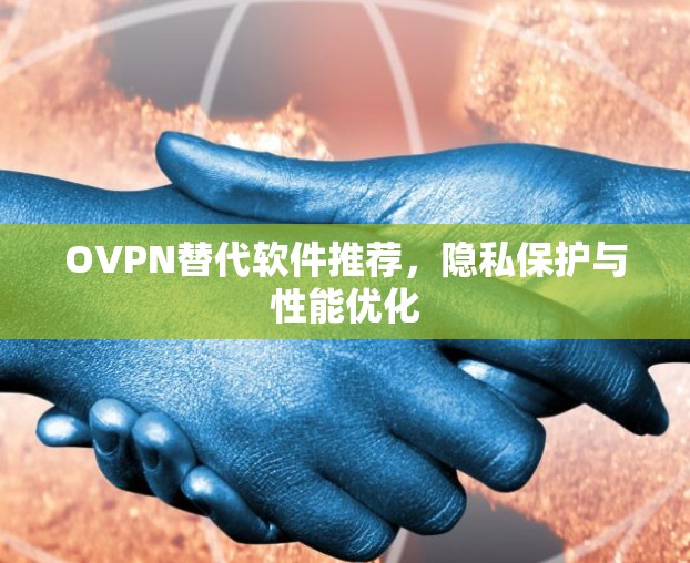 OVPN替代软件推荐，隐私保护与性能优化