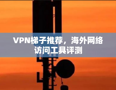 VPN梯子推荐，海外网络访问工具评测