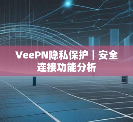 VeePN隐私保护｜安全连接功能分析