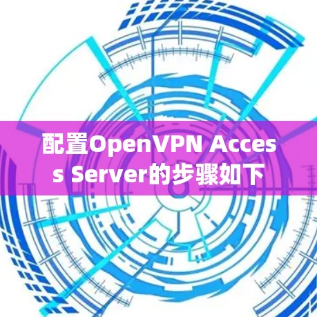 配置OpenVPN Access Server的步骤如下