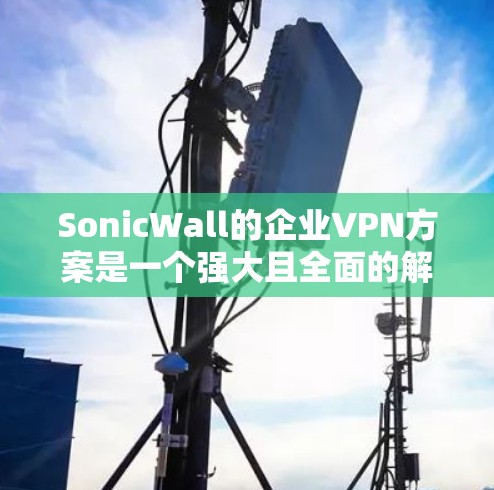 SonicWall的企业VPN方案是一个强大且全面的解决方案，旨在为企业提供安全、灵活和高效的网络访问方式。以下是对该方案的详细分析和总结