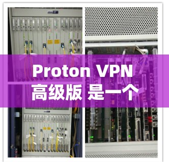 Proton VPN 高级版 是一个功能强大且性能优越的 VPN 服务，适合需要稳定、高速和安全连接的用户。以下是关于 Proton VPN 高级版 的一些关键特点和体验分享