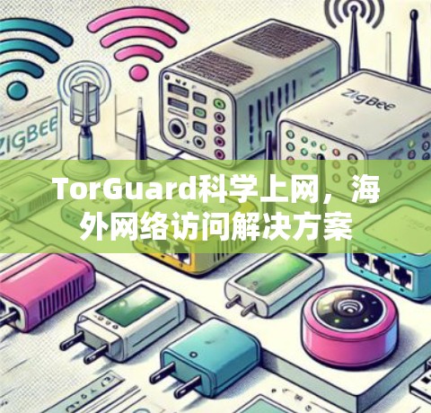 TorGuard科学上网，海外网络访问解决方案