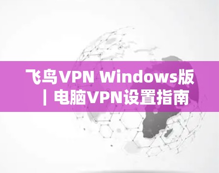 飞鸟VPN Windows版｜电脑VPN设置指南