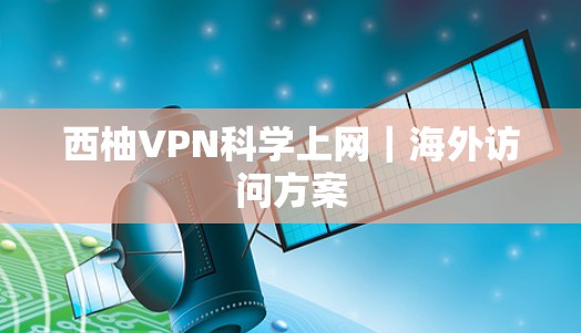西柚VPN科学上网｜海外访问方案