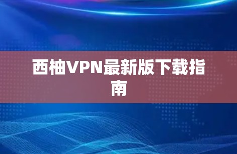西柚VPN最新版下载指南