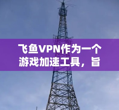 飞鱼VPN作为一个游戏加速工具，旨在帮助用户优化游戏体验。以下是对飞鱼VPN的系统化分析和总结
