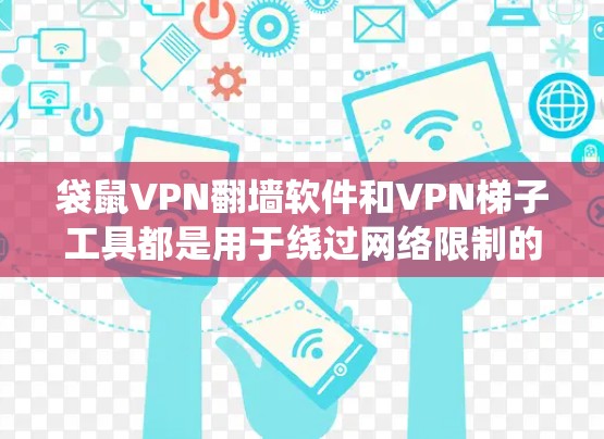 袋鼠VPN翻墙软件和VPN梯子工具都是用于绕过网络限制的工具，但它们在功能和适用场景上有一些差异。以下是对它们的分析和比较
