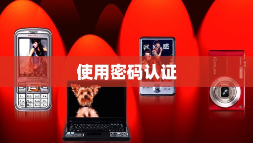 使用密码认证