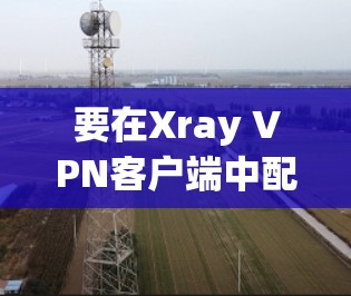 要在Xray VPN客户端中配置节点，通常需要在客户端界面中输入相关服务器信息。以下是一个通用的步骤指南，具体操作可能因客户端版本或平台不同而有所差异