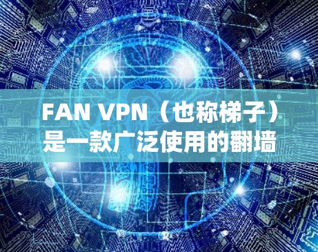 FAN VPN（也称梯子）是一款广泛使用的翻墙软件，旨在帮助用户绕过网络限制访问互联网资源。以下是详细的步骤指南，指导您如何下载、安装和使用FAN VPN