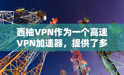 西柚VPN作为一个高速VPN加速器，提供了多种功能和服务，适合提升网络连接速度和保护隐私。以下是对西柚VPN官网的详细分析和使用建议