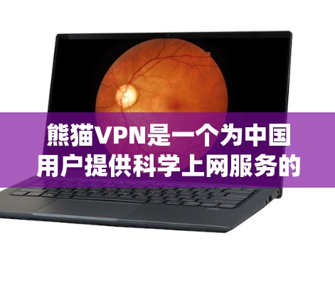 熊猫VPN是一个为中国用户提供科学上网服务的VPN服务提供商，旨在帮助用户绕过网络审查，访问受限制的网站。以下是对熊猫VPN的详细分析和使用指南