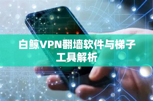 白鲸VPN翻墙软件与梯子工具解析