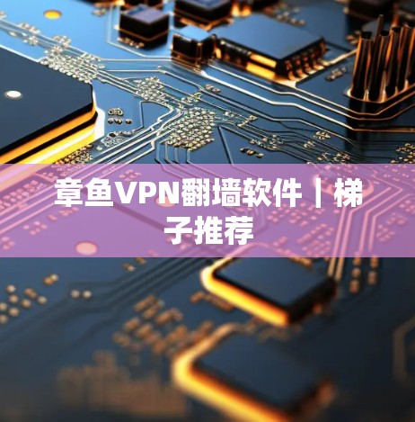 章鱼VPN翻墙软件｜梯子推荐