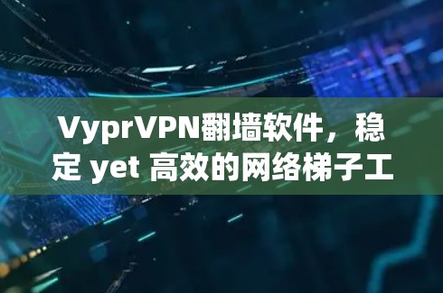 VyprVPN翻墙软件，稳定 yet 高效的网络梯子工具