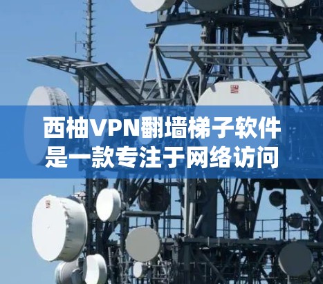 西柚VPN翻墙梯子软件是一款专注于网络访问和隐私保护的工具，旨在帮助用户绕过网络限制，访问受限的网站或内容。以下是对该软件的详细介绍
