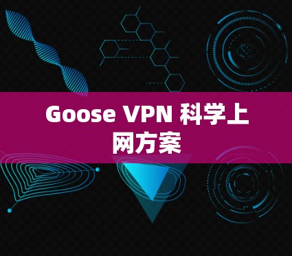 Goose VPN 科学上网方案