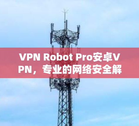 VPN Robot Pro安卓VPN，专业的网络安全解决方案